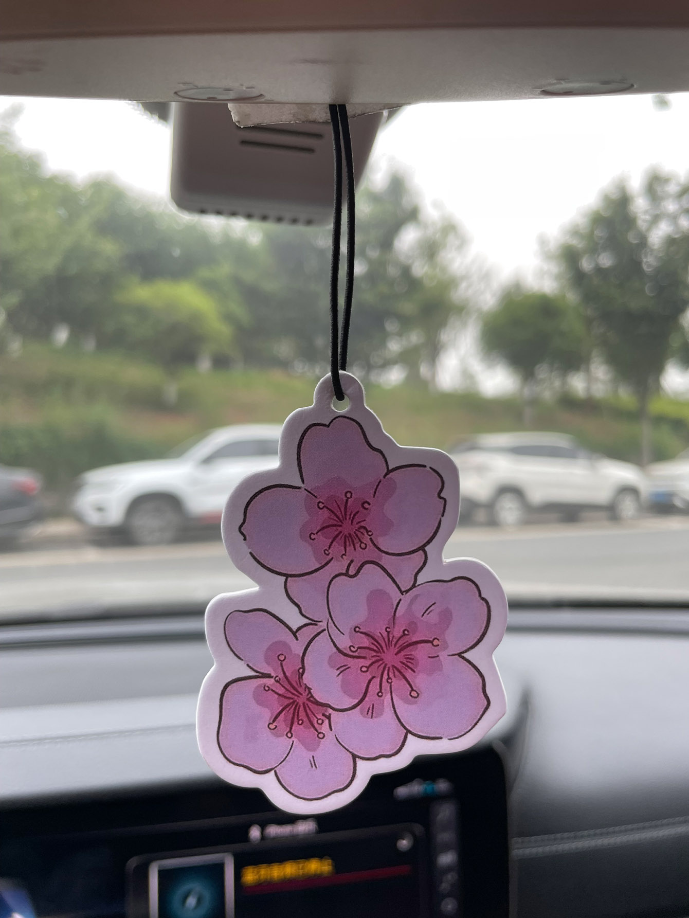 Sakura/Frezya Taze Kokulu Beş  - Car Accessories Juicy Couture incelemesi ve fiyatı